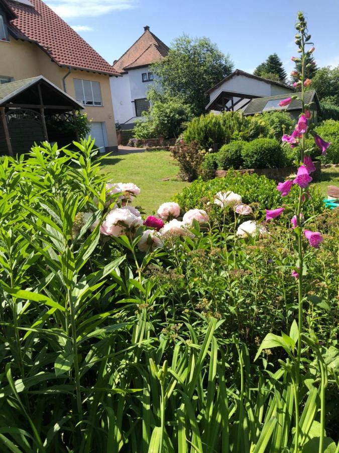 Gemütliches Apartment Garden View Ramstein-Miesenbach Exterior foto