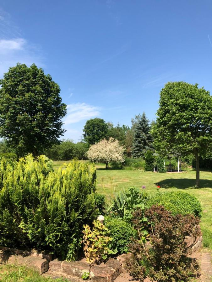 Gemütliches Apartment Garden View Ramstein-Miesenbach Exterior foto