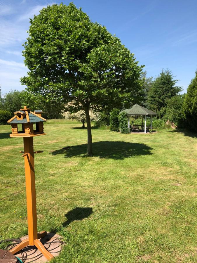 Gemütliches Apartment Garden View Ramstein-Miesenbach Exterior foto